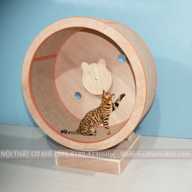 máy chạy bộ cho mèo catwheel